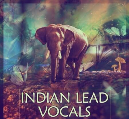 Planet Samples Indian Lead Vocals WAV